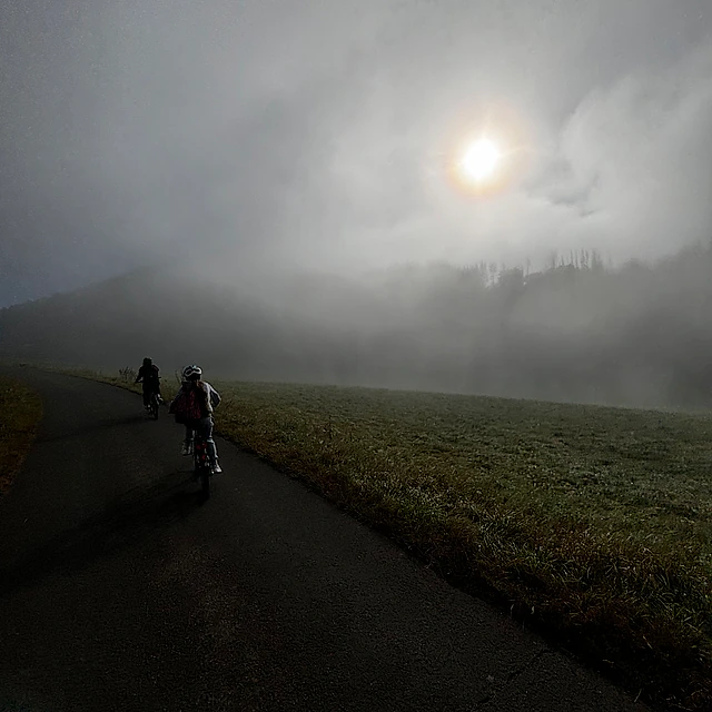 Sonnenaufgang im nebligen Feld.