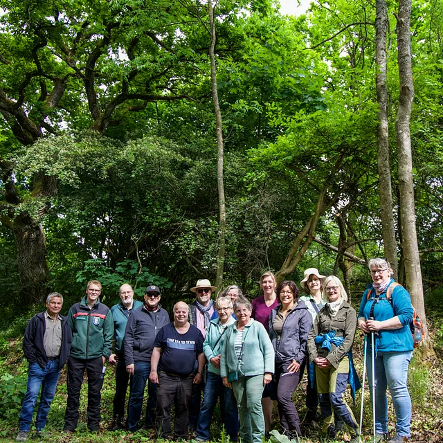 Gruppe wandert im Wald.