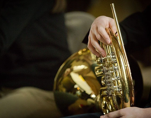Hände halten ein Waldhorn.