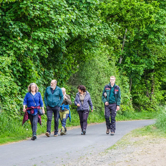 Wanderer auf Waldweg.