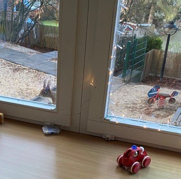 Spielzeugauto und Hase durch Fenster.